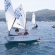trofeo optisud vico equense 0567 di angelo florio
