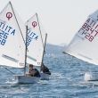 trofeo optisud vico equense 0915 di angelo florio