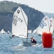 trofeo optisud vico equense 0939 di angelo florio